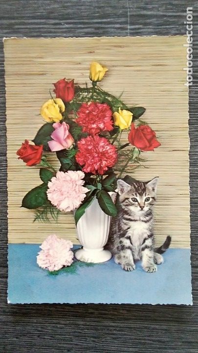 Postkarten: POSTAL KRUGER 900/5 ALEMANIA. GATO Y FLORES. NUEVA, TROQUELADA
