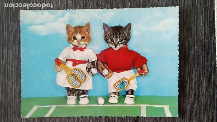 Postkarten: POSTAL KRUGER 900/123 ALEMANIA. GATOS TENIS. TROQUELADA NUEVA