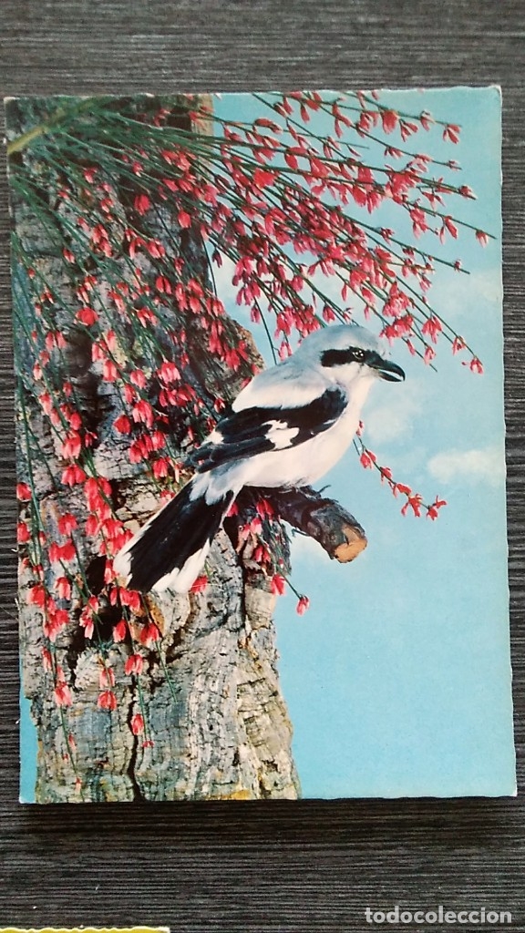 Postkarten: POSTAL ISV SORT 63. ALEMANIA. RAUBW&Uuml;RGER. TROQUELADA, NUEVA