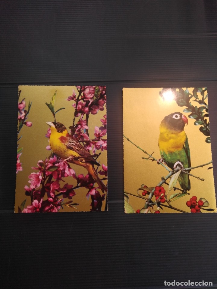 Cartes Postales: 2 antiguas y bonitas postales de p&aacute;jaros de Krueger
