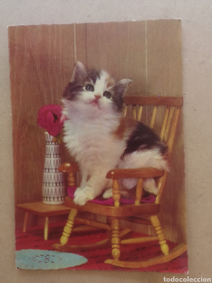 Postkarten: POSTAL GATO MD SERIE 9730 FRANCIA. TROQUELADA, NUEVA