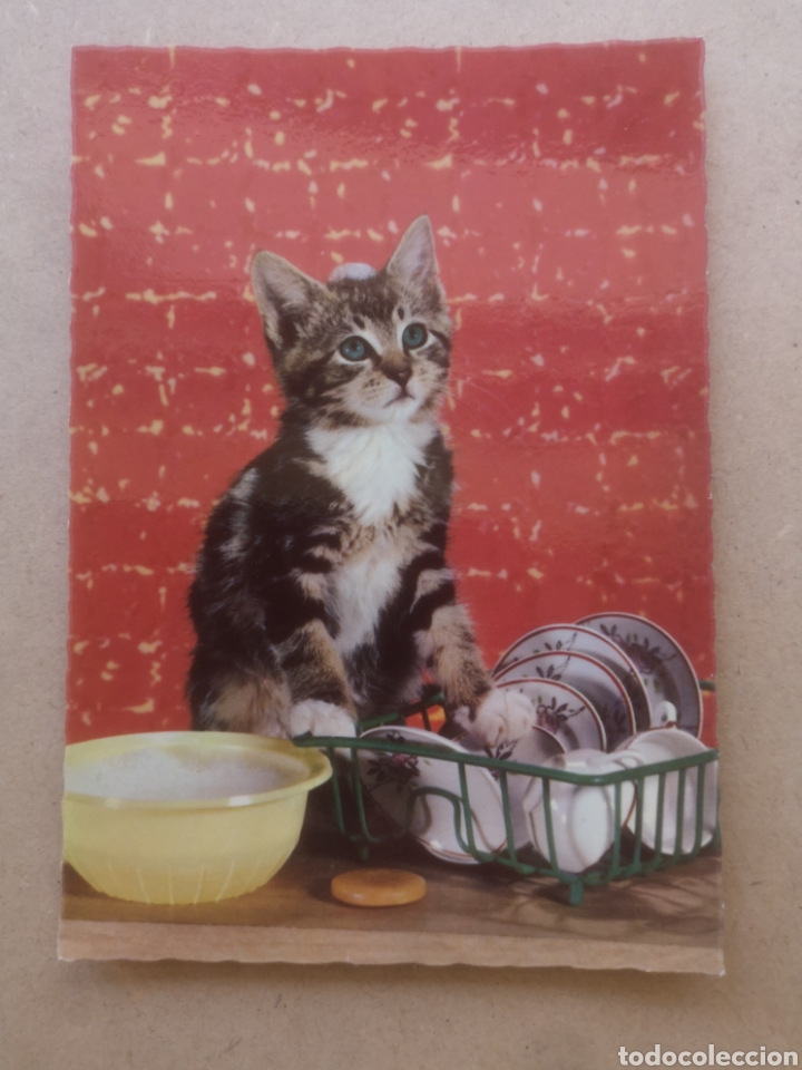 Postkarten: POSTAL GATO MD SERIE 9730 FRANCIA. TROQUELADA, NUEVA