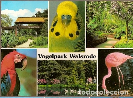 Cartes Postales: Alemania & Circulado, Park Walsrode, P&aacute;jaros, Markersdorf 2004 (9674)