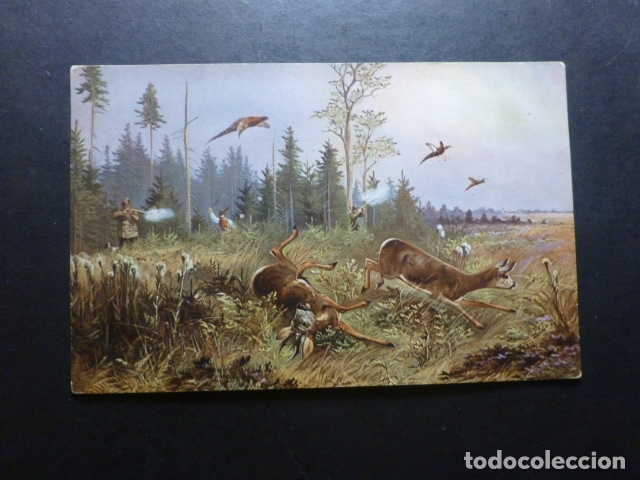 Postales: ANIMALES EN EL BOSQUE Y CAZADOR POSTAL - Foto 1