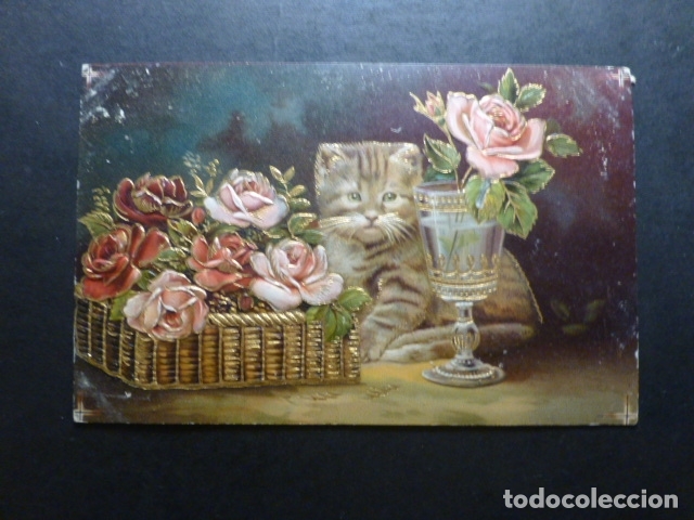 Postales: GATO CON FLORES Y COPA POSTAL - Foto 1