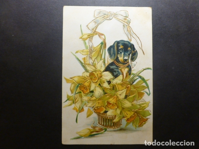 Postales: PERRO CON FLORES POSTAL - Foto 1