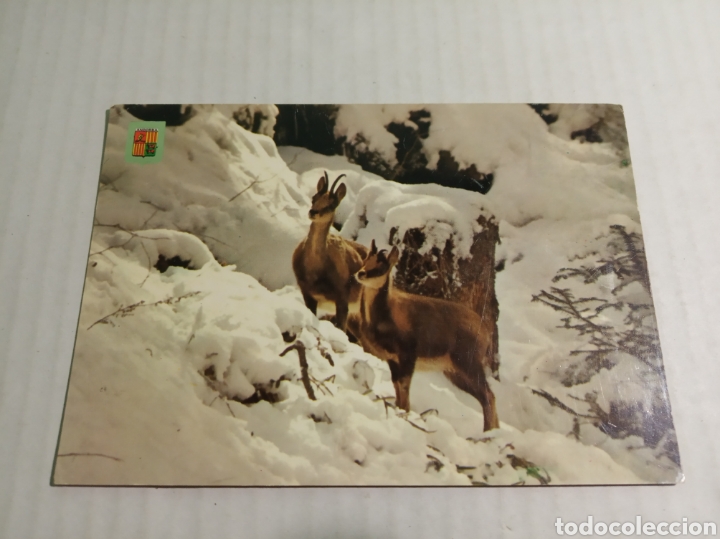 Postales: Valls de Andorra - Foto 1