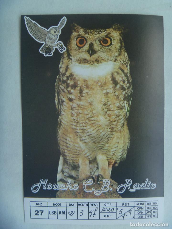 Cartes Postales: POSTAL DE RADIOAFICIONADOS CON FOTO DE BUHO