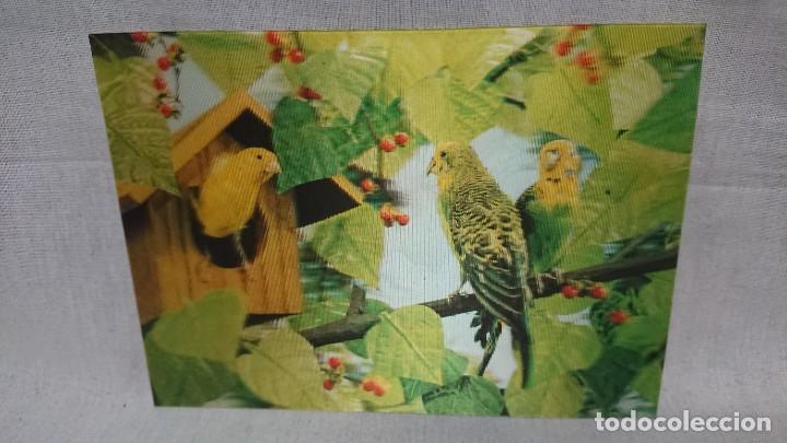Cartes Postales: ANTIGUA POSTAL TRIDIMENSIONAL 3D HOLOGRAFICA ANIMALES