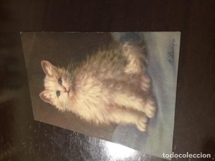 Postales: Antigua postal gato - Foto 2