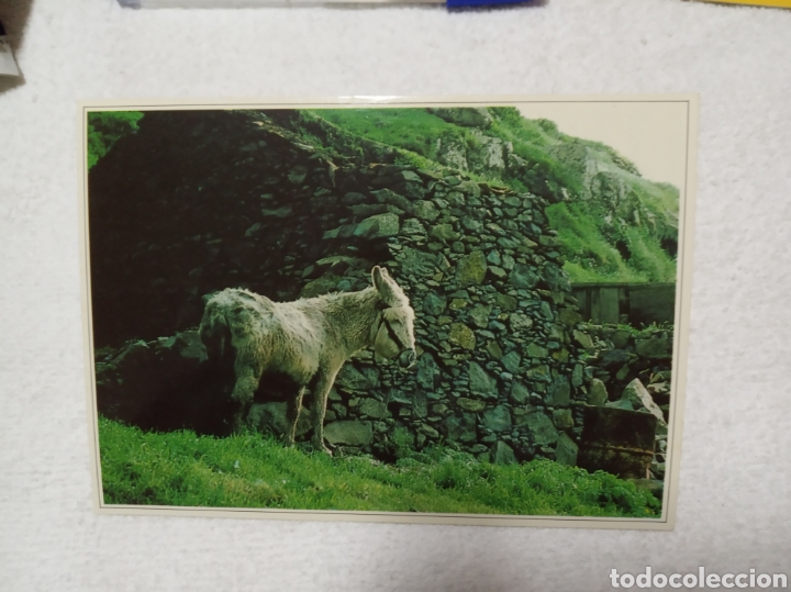 Postales: La Gomera - Foto 1