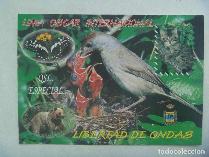 Cartes Postales: POSTAL DE RADIOAFICIONADO DE GIJON ( ASTURIAS ) CON PAJARO Y SU NIDO, OSO, ETC