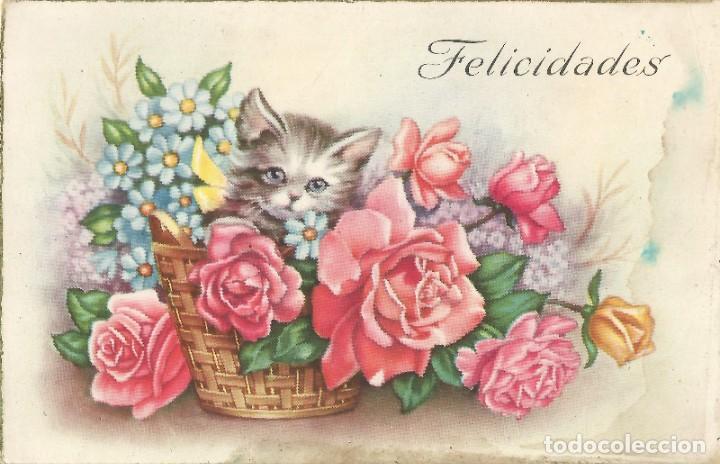 Postales: POSTAL CYZ 530 CIRCULADA 1954