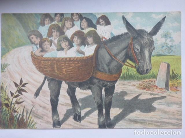 Cartes Postales: fotomontaje ,  de burro y ni&ntilde;os