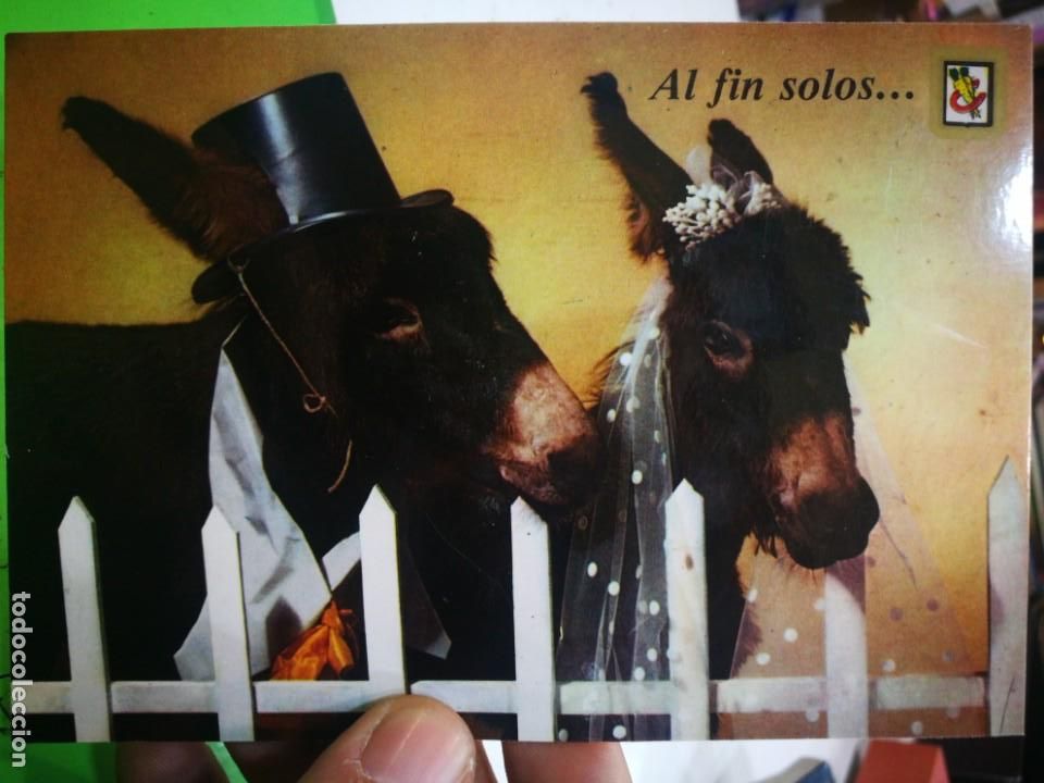 Cartes Postales: Postal Animales C&oacute;micos N 22 SUBIRATS CASANOVAS