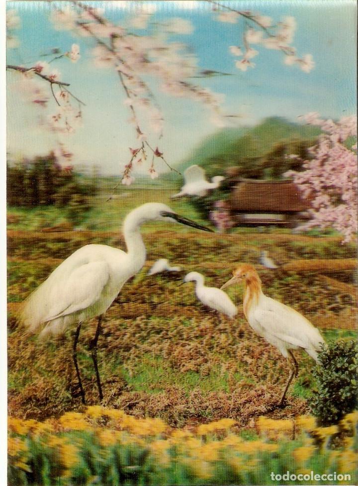 Postales: POSTAL  3 D - PAJAROS - Foto 1