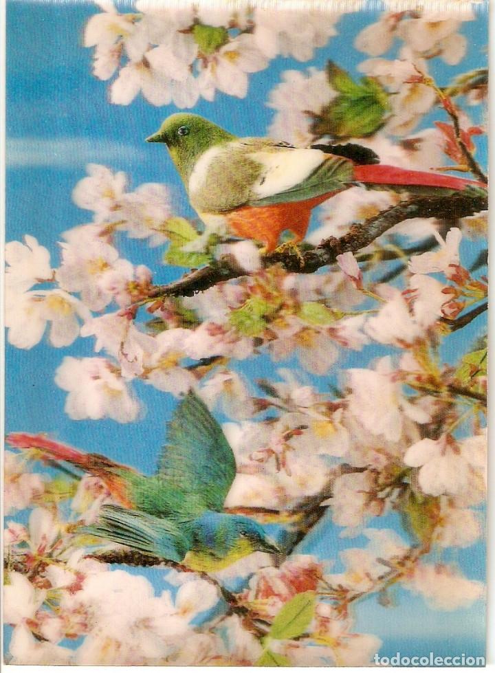 Postales: POSTAL  3 D - PAJAROS - FRANCIA - Foto 1