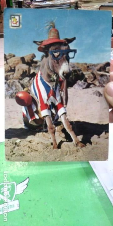 Cartes Postales: Postal Burro Una foto por favor escrita y sellada N 6 ESCUDO DE ORO arrugada