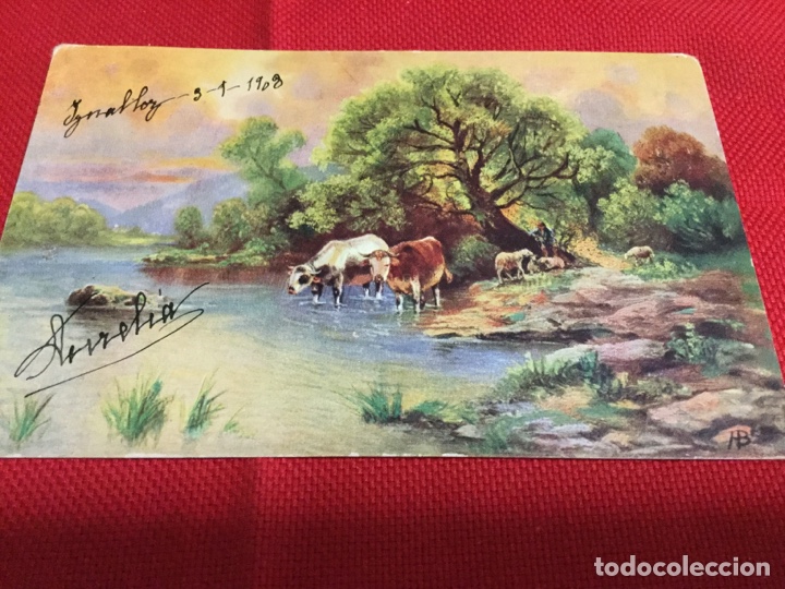 Postcards: BONITA POSTAL PINTADA DE ANIMALES -1908
