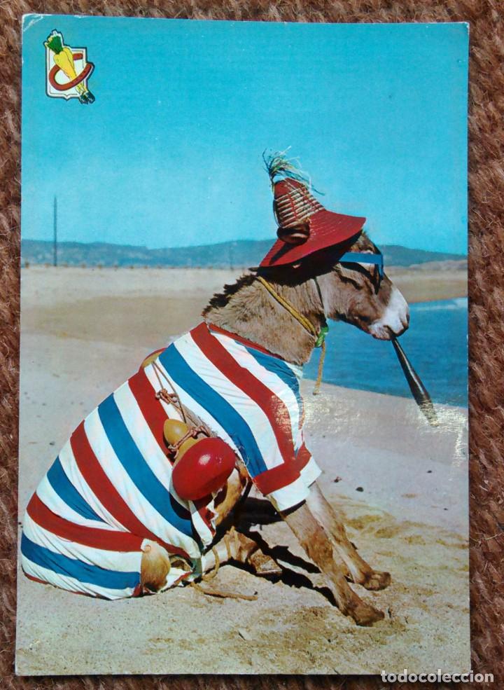 Cartes Postales: BURRO FUMANDO ESPERO