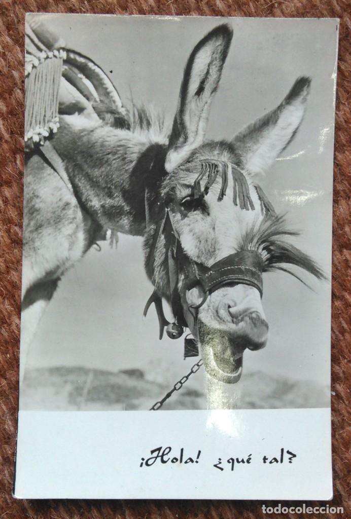 Cartes Postales: HOLA &iquest;QU&Eacute; TAL? - PONS CART