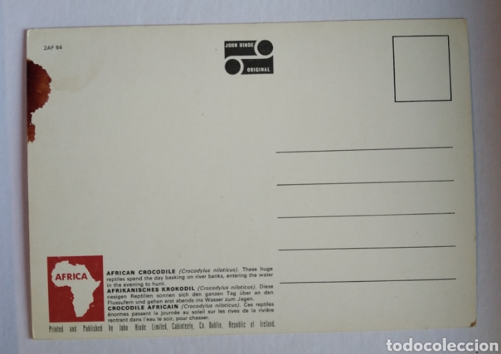 Postales: Postal cocodrilo africano John hinde - Foto 2