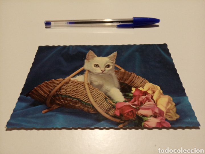 Postales: Gato cesta flores - Foto 1