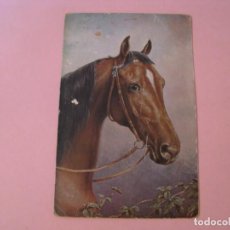 Postales: POSTAL DE CABALLO. BIT AND BRIDLE. TUCK'S POST CARD. SERIE OILETTE. . Lote 191502933
