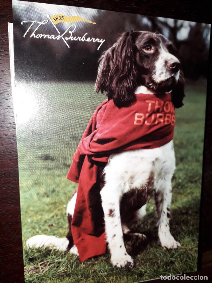 Postales: N&ordm; 34979 POSTAL PERRO THOMAS BURBERRY