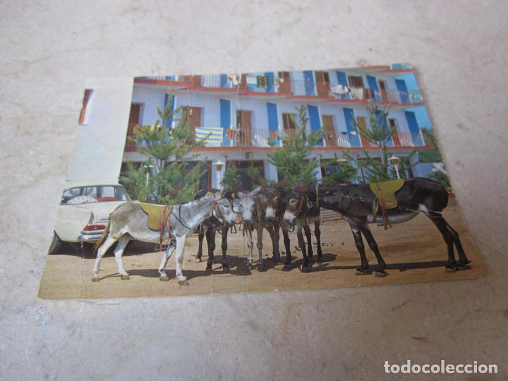 Cartes Postales: POSTAL ESCRITA A&Ntilde;O 1965 - BURRITOS DE MONTA