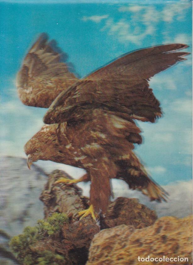 Cartes Postales: Postal estereosc&oacute;pica * &Aacute;GUILA * TOPPAN *