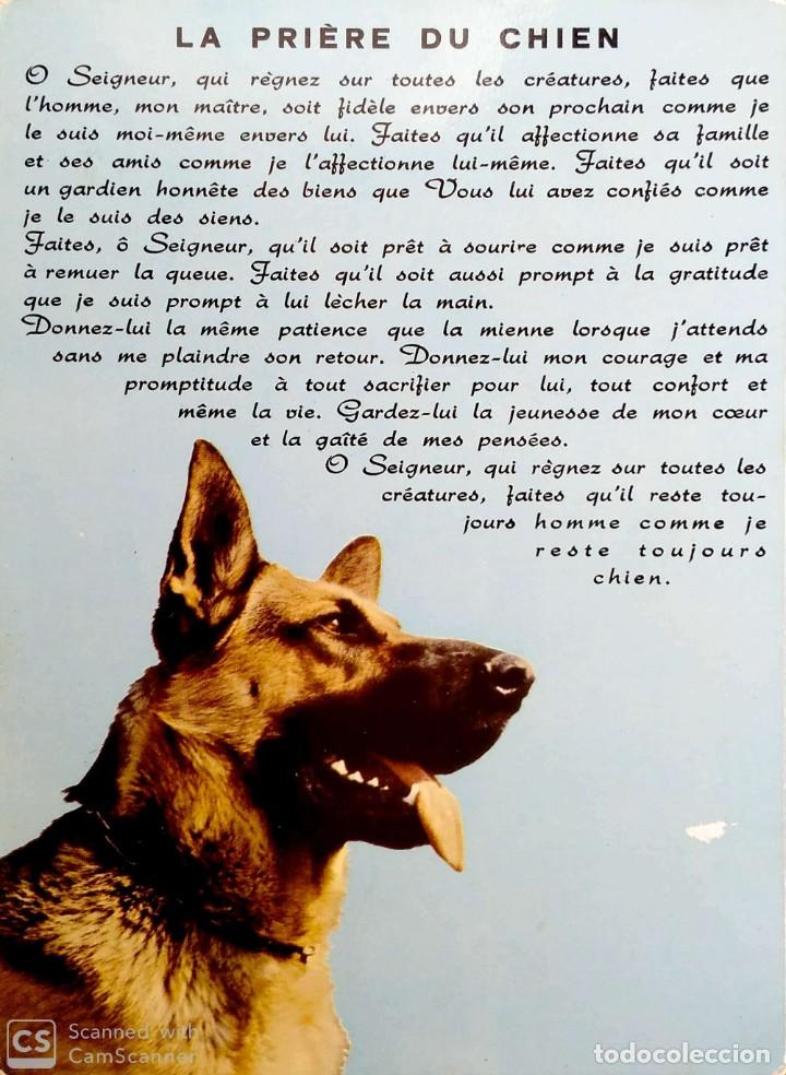 Cartes Postales: Plegaria del perro en franc&eacute;s. Texto de Piero Scanzioni. Nueva.