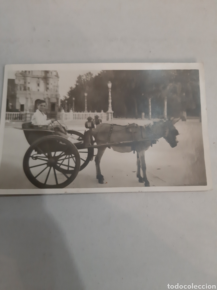 Postcards: Portugal burro con carro