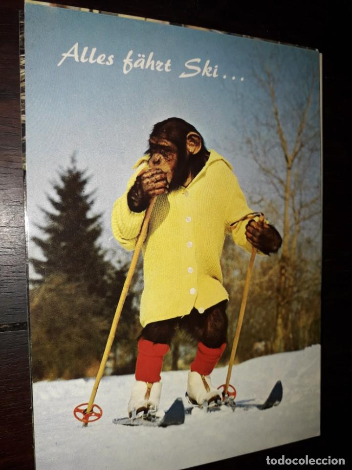 Postkarten: N&ordm; 35984 POSTAL MONO