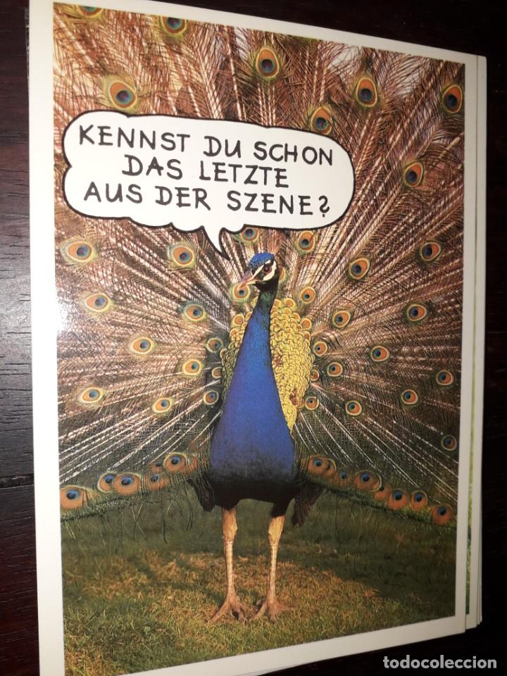 Cartes Postales: N&ordm; 35990 POSTAL FOTO ROLF HINZ PAVO REAL