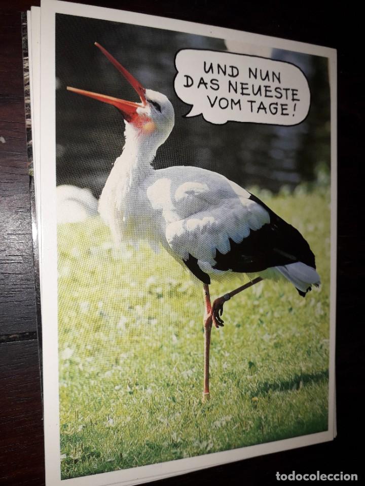 Cartes Postales: N&ordm; 35991 POSTAL CIG&Uuml;E&Ntilde;A FOTO ROLF HINZ UND NUN DAS NEUESTE VOM TAGE