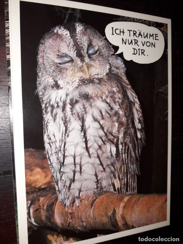 Cartes Postales: N&ordm; 35992 POSTAL FOTO ROLF HINZ BUHO ICH TRAUME NUR VON DIR