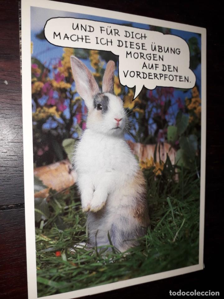 Cartes Postales: N&ordm; 35993 POSTAL CONEJO FOTO ROLF HINZ UND FUR DICH MACHE ICH DIESE UBUNG MORGEN AUF DEN VORDERPFOTEN