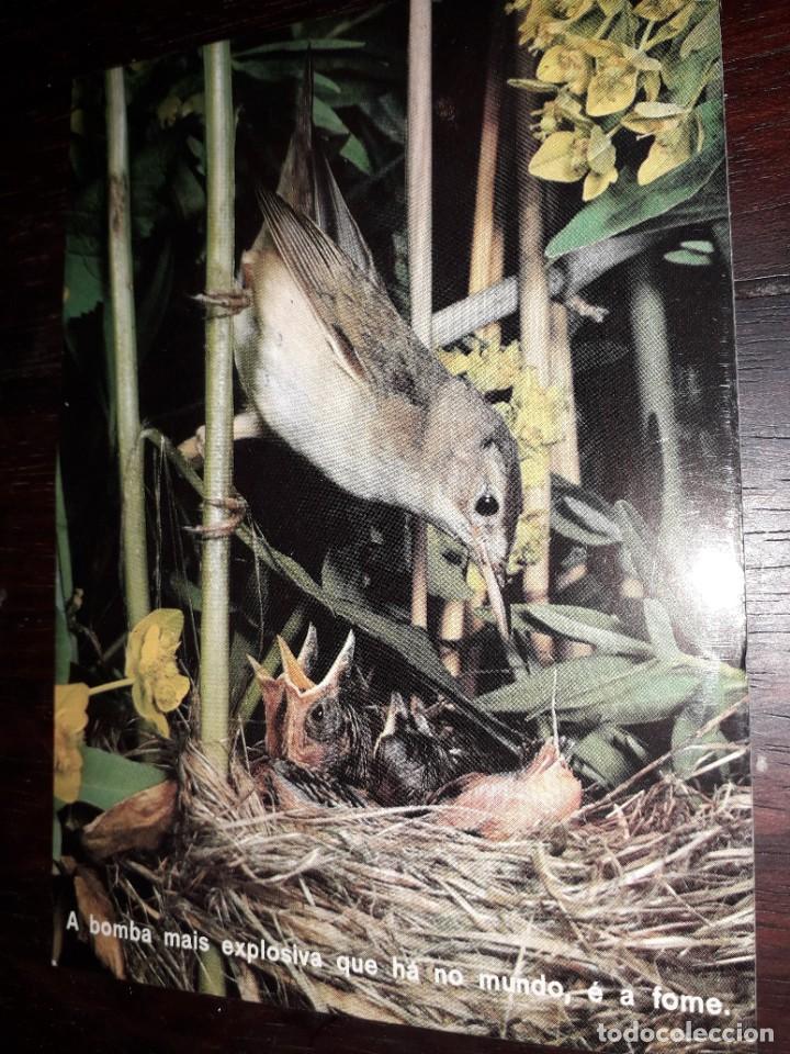 Cartes Postales: N&ordm; 36000 POSTAL PAJARO