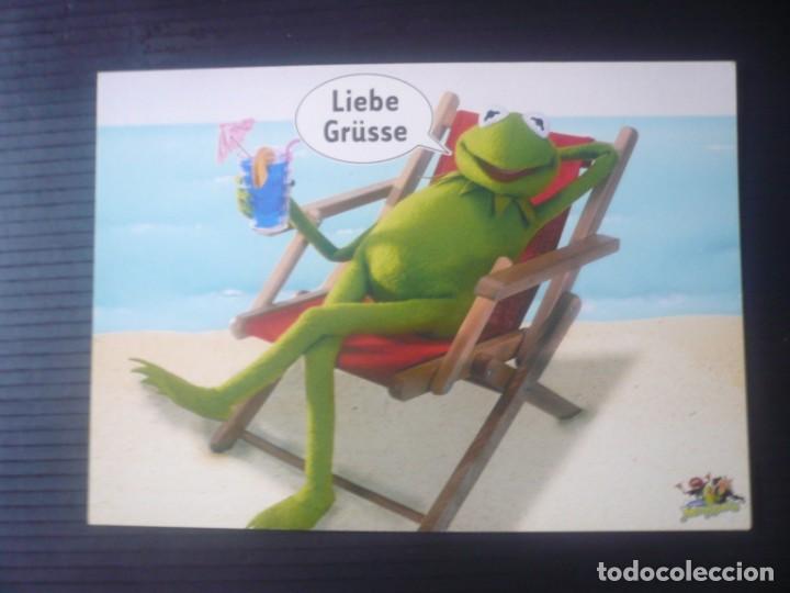 Postais: Kermit The Frog (La Rana Gustavo)