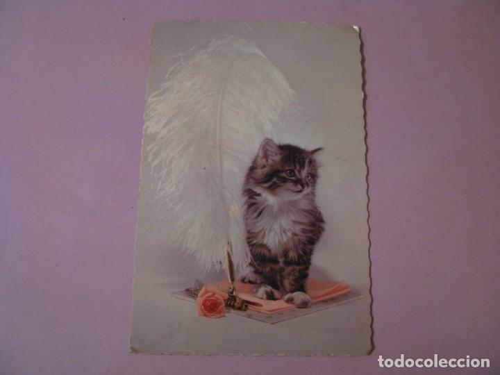 Postais: POSTAL DE ED. HALLMARK. 5PPC 555-1. ESTADOS UNIDOS. IMAGEN GATO. CIRCULADA A&Ntilde;OS 60. SELLO U.S. ARMY.
