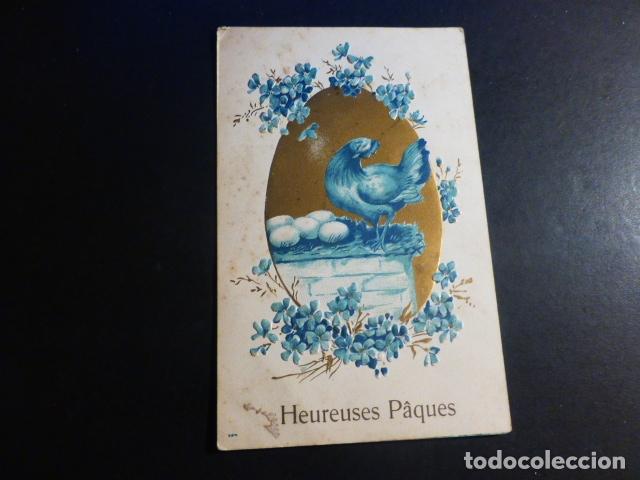Postales: GALLINA EN NIDO POSTAL EN RELIEVE - Foto 1