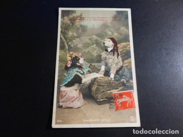 Postales: PERROS DISFRAZADOS POSTAL - Foto 1
