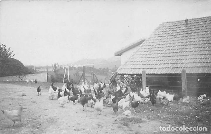 Postais: POSTAL FOTOGR&Aacute;FICA