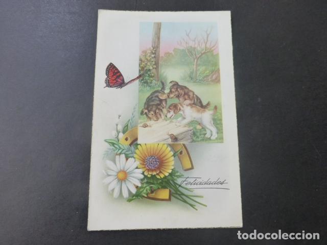 Postales: PERROS Y CARACOLES POSTAL - Foto 1