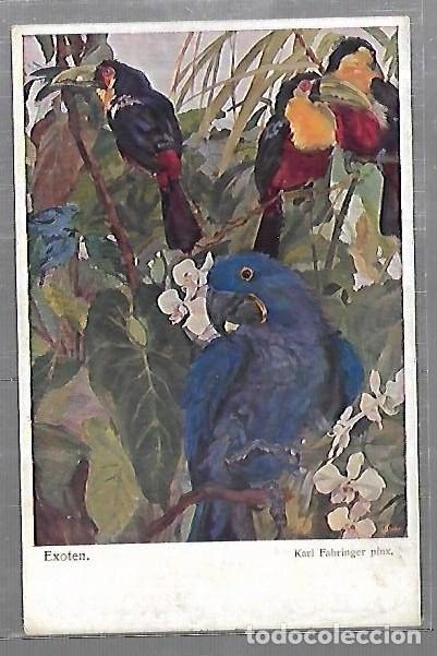 Postais: TARJETA POSTAL. ANIMALES. LOROS. PAJAROS EXOTICOS.
