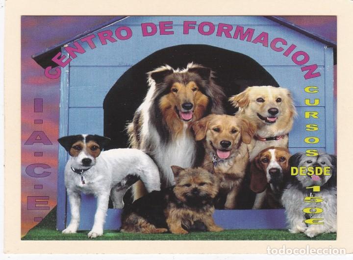 Postcards: POSTAL PERROS. PUBLICITARIA CENTRO DE FORMACION - POSTALFREE