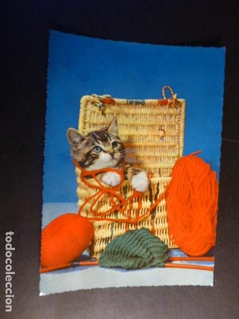 Postales: GATO POSTAL - Foto 1