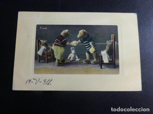 Postales: OSOS BOXEADORES POSTAL - Foto 1