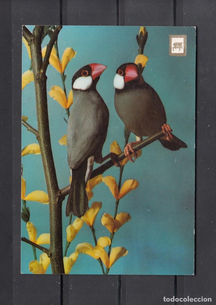 Postais: N&ordm; 5 P&Aacute;JAROS
